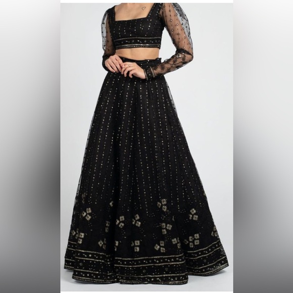 The Saree Room Midnight Amelia Skirt with Dupatta set - Picture 2 of 6